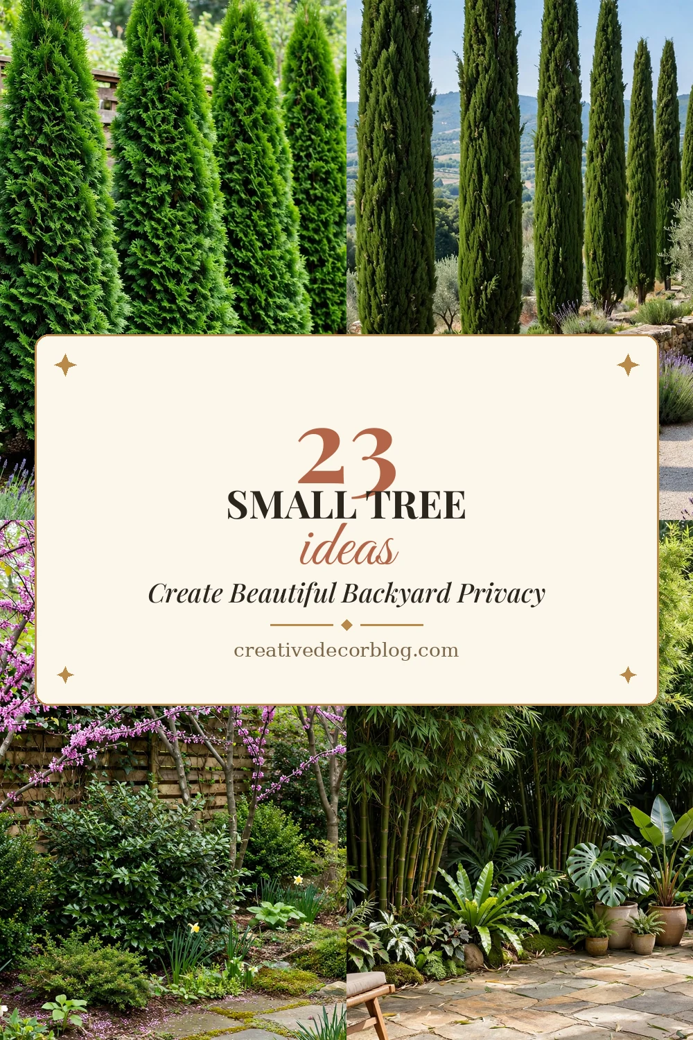 23 small trees for privacy Pinterest pin collage